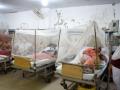Dengue fever cases keep surging in Pakistan - Hindi News | Dengue fever cases keep surging in Pakistan | Latest health News at Lokmattimes.com