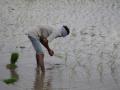 Monsoon showers happiness, kharif sowing increases 104% - Hindi News | Monsoon showers happiness, kharif sowing increases 104% | Latest business News at Lokmattimes.com