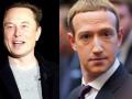 Musk-Zuckerberg cage fight 'cancelled', says Tesla CEO's mother - Hindi News | Musk-Zuckerberg cage fight 'cancelled', says Tesla CEO's mother | Latest technology News at Lokmattimes.com