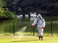 S. Korea confirms highly pathogenic bird flu case - Hindi News | S. Korea confirms highly pathogenic bird flu case | Latest health News at Lokmattimes.com