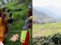 Nanj natives bunch together to revive a lost forest for fodder - Hindi News | Nanj natives bunch together to revive a lost forest for fodder | Latest national News at Lokmattimes.com