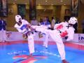 Taekwondo Premier League with 12 teams launched, will be held in June - Hindi News | Taekwondo Premier League with 12 teams launched, will be held in June | Latest other-sports News at Lokmattimes.com
