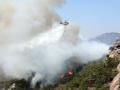 Seoul wildfire completely extinguished after 25 hours - Hindi News | Seoul wildfire completely extinguished after 25 hours | Latest international News at Lokmattimes.com