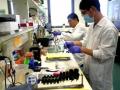 Israeli lab workers threaten to halt tests over low wages - Hindi News | Israeli lab workers threaten to halt tests over low wages | Latest international News at Lokmattimes.com