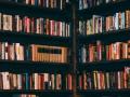 January - March 2023 book releases - Hindi News | January - March 2023 book releases | Latest lifestyle News at Lokmattimes.com
