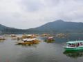 Diving into still waters: The remarkable life on the Dal Lake - Hindi News | Diving into still waters: The remarkable life on the Dal Lake | Latest national News at Lokmattimes.com