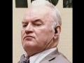 UN tribunal confirms Mladic's life sentence for Srebrenica genocide - Hindi News | UN tribunal confirms Mladic's life sentence for Srebrenica genocide | Latest politics News at Lokmattimes.com