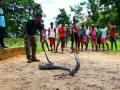 Karnataka govt to form special team for King Cobra rescues - Hindi News | Karnataka govt to form special team for King Cobra rescues | Latest national News at Lokmattimes.com