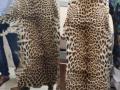 K'taka police arrest rowdy sheeter trading leopard skin - Hindi News | K'taka police arrest rowdy sheeter trading leopard skin | Latest national News at Lokmattimes.com
