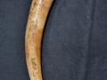 One held with elephant tusk in Odisha - Hindi News | One held with elephant tusk in Odisha | Latest national News at Lokmattimes.com
