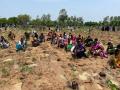 Green India Challenge sets world record, plants 1 million saplings in an hour in Telangana - Hindi News | Green India Challenge sets world record, plants 1 million saplings in an hour in Telangana | Latest national News at Lokmattimes.com