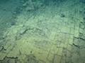 'Underwater Land of Oz': 'Yellow Brick Road' found in Pacific ocean bed off Hawaii - Hindi News | 'Underwater Land of Oz': 'Yellow Brick Road' found in Pacific ocean bed off Hawaii | Latest national News at Lokmattimes.com
