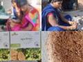 In Prohibition-bound Bihar, mahua flowers now used to make local snack - Hindi News | In Prohibition-bound Bihar, mahua flowers now used to make local snack | Latest national News at Lokmattimes.com