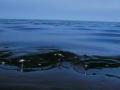 Peru declares 90-day environmental emergency following oil spill - Hindi News | Peru declares 90-day environmental emergency following oil spill | Latest politics News at Lokmattimes.com