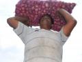 Steady rise in onion prices triggers concern in K’taka - Hindi News | Steady rise in onion prices triggers concern in K’taka | Latest national News at Lokmattimes.com
