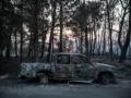 Slovakia, Poland, Italy help Czech Republic fight forest fire - Hindi News | Slovakia, Poland, Italy help Czech Republic fight forest fire | Latest politics News at Lokmattimes.com