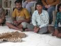 4 arrested for selling leopard skin from Gujarat's Valsad - Hindi News | 4 arrested for selling leopard skin from Gujarat's Valsad | Latest national News at Lokmattimes.com