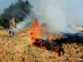 NHRC holds states responsible for continued stubble burning - Hindi News | NHRC holds states responsible for continued stubble burning | Latest national News at Lokmattimes.com