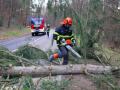 Germany braces for storm Ylenia - Hindi News | Germany braces for storm Ylenia | Latest international News at Lokmattimes.com