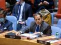 Abolish veto rights or give them to new permanent members in reformed UNSC: India - Hindi News | Abolish veto rights or give them to new permanent members in reformed UNSC: India | Latest politics News at Lokmattimes.com