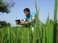 With Microsoft Cloud, CropData helping Indian farmers earn better - Hindi News | With Microsoft Cloud, CropData helping Indian farmers earn better | Latest technology News at Lokmattimes.com