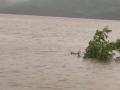 Heavy rain, floods wreak havoc in Telangana - Hindi News | Heavy rain, floods wreak havoc in Telangana | Latest national News at Lokmattimes.com