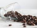 Tanzania to distribute 3 mn coffee seedlings to boost production - Hindi News | Tanzania to distribute 3 mn coffee seedlings to boost production | Latest politics News at Lokmattimes.com