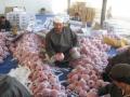 Afghan poppy trade zooms despite stranded fruit exports - Hindi News | Afghan poppy trade zooms despite stranded fruit exports | Latest international News at Lokmattimes.com