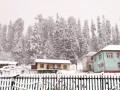Hotels in Kashmir booked in advance for Christmas, New Year celebrations - Hindi News | Hotels in Kashmir booked in advance for Christmas, New Year celebrations | Latest national News at Lokmattimes.com