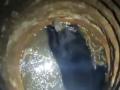 Bear stuck in well dies in flawed rescue operation in Kerala - Hindi News | Bear stuck in well dies in flawed rescue operation in Kerala | Latest national News at Lokmattimes.com