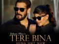 Salman's love song 'Tere Bina' gets 26 mn views - Hindi News | Salman's love song 'Tere Bina' gets 26 mn views | Latest entertainment News at Lokmattimes.com