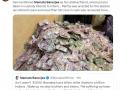 Mamata-Amit Malviya wage Twitter war over phasing out of Rs 2,000 notes - Hindi News | Mamata-Amit Malviya wage Twitter war over phasing out of Rs 2,000 notes | Latest national News at Lokmattimes.com
