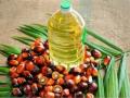 India's palm oil imports don't need to adhere to NDPE policy: Govt - Hindi News | India's palm oil imports don't need to adhere to NDPE policy: Govt | Latest politics News at Lokmattimes.com