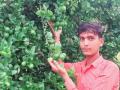 Seedless lemons did it: 21-year-old from Muzaffarpur gets Rashtriya Udyan Ratna - Hindi News | Seedless lemons did it: 21-year-old from Muzaffarpur gets Rashtriya Udyan Ratna | Latest national News at Lokmattimes.com