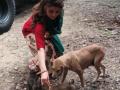 Urvashi Rautela: Animal life matters - Hindi News | Urvashi Rautela: Animal life matters | Latest entertainment News at Lokmattimes.com