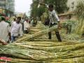 SP walkout in UP assembly over cane prices - Hindi News | SP walkout in UP assembly over cane prices | Latest politics News at Lokmattimes.com