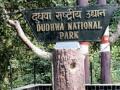 Opening of Dudhwa Tiger Reserve may be delayed due to floods - Hindi News | Opening of Dudhwa Tiger Reserve may be delayed due to floods | Latest international News at Lokmattimes.com