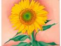 Georgia O'Keeffe's a sunflower from Maggie at Christie's auction - Hindi News | Georgia O'Keeffe's a sunflower from Maggie at Christie's auction | Latest lifestyle News at Lokmattimes.com