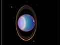 4 of Uranus' large moons may hold water: NASA - Hindi News | 4 of Uranus' large moons may hold water: NASA | Latest international News at Lokmattimes.com