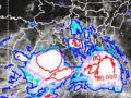 Massive rainfall in Odisha, alert for Chhattisgarh, MP too - Hindi News | Massive rainfall in Odisha, alert for Chhattisgarh, MP too | Latest international News at Lokmattimes.com