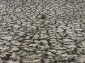 Chile rules out water rationing amid ongoing drought - Hindi News | Chile rules out water rationing amid ongoing drought | Latest international News at Lokmattimes.com