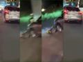 Car drags bikers for 3 km on busy Nagpur road, survivors admitted to hospital - Hindi News | Car drags bikers for 3 km on busy Nagpur road, survivors admitted to hospital | Latest national News at Lokmattimes.com