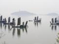 China renews 2nd-highest alert for thick fog - Hindi News | China renews 2nd-highest alert for thick fog | Latest international News at Lokmattimes.com