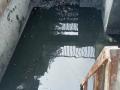 2 die after entering sewer tank in Noida to retrieve cricket ball - Hindi News | 2 die after entering sewer tank in Noida to retrieve cricket ball | Latest international News at Lokmattimes.com