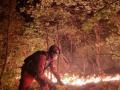 800 fire fighters battle blaze in German national park - Hindi News | 800 fire fighters battle blaze in German national park | Latest international News at Lokmattimes.com