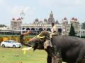 World famous Mysuru Palace shut for sanitisation after Covid scare - Hindi News | World famous Mysuru Palace shut for sanitisation after Covid scare | Latest national News at Lokmattimes.com