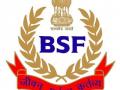 BSF nabs 5 Bangladeshis for illegally crossing border - Hindi News | BSF nabs 5 Bangladeshis for illegally crossing border | Latest national News at Lokmattimes.com