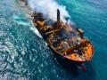 176 turtles, 20 dolphins dead after cargo ship fire in SL - Hindi News | 176 turtles, 20 dolphins dead after cargo ship fire in SL | Latest politics News at Lokmattimes.com