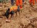 14 killed in China landslide - Hindi News | 14 killed in China landslide | Latest politics News at Lokmattimes.com