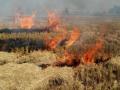 Punjab stubble burning events fell by one-third in Sep-Oct: Centre to SC - Hindi News | Punjab stubble burning events fell by one-third in Sep-Oct: Centre to SC | Latest national News at Lokmattimes.com